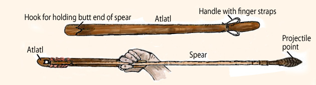 Atlatl, spear, dart, and projectile point.
