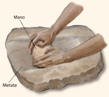 Example of a mano and metate.